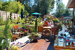 PUTTING ON THE BARBIE